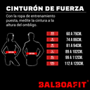 CINTO FUERZA BALBOA
