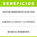 CREATINA MONOHYDRATE EEUU 300gr STAR NUTRITION