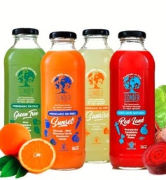 JUGO 500ML SONDER